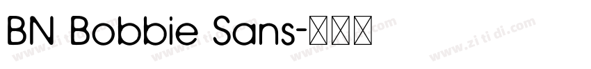 BN Bobbie Sans字体转换